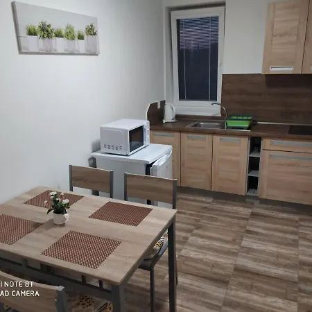 Apartment U Davida
