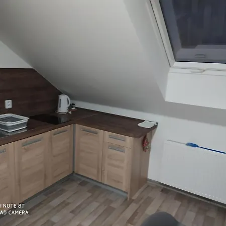 Apartment U Davida *