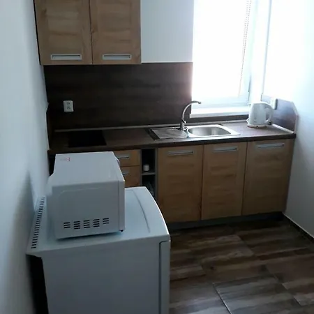 Apartment U Davida